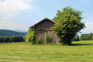 Hébergement de luxe en cabane dans les arbres